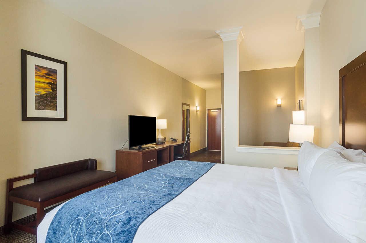 Comfort Near Downtown DEN