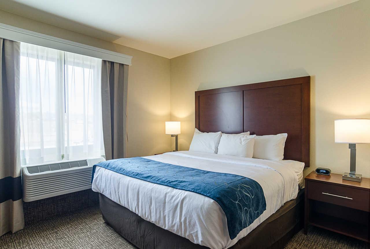 Comfort Near Downtown DEN