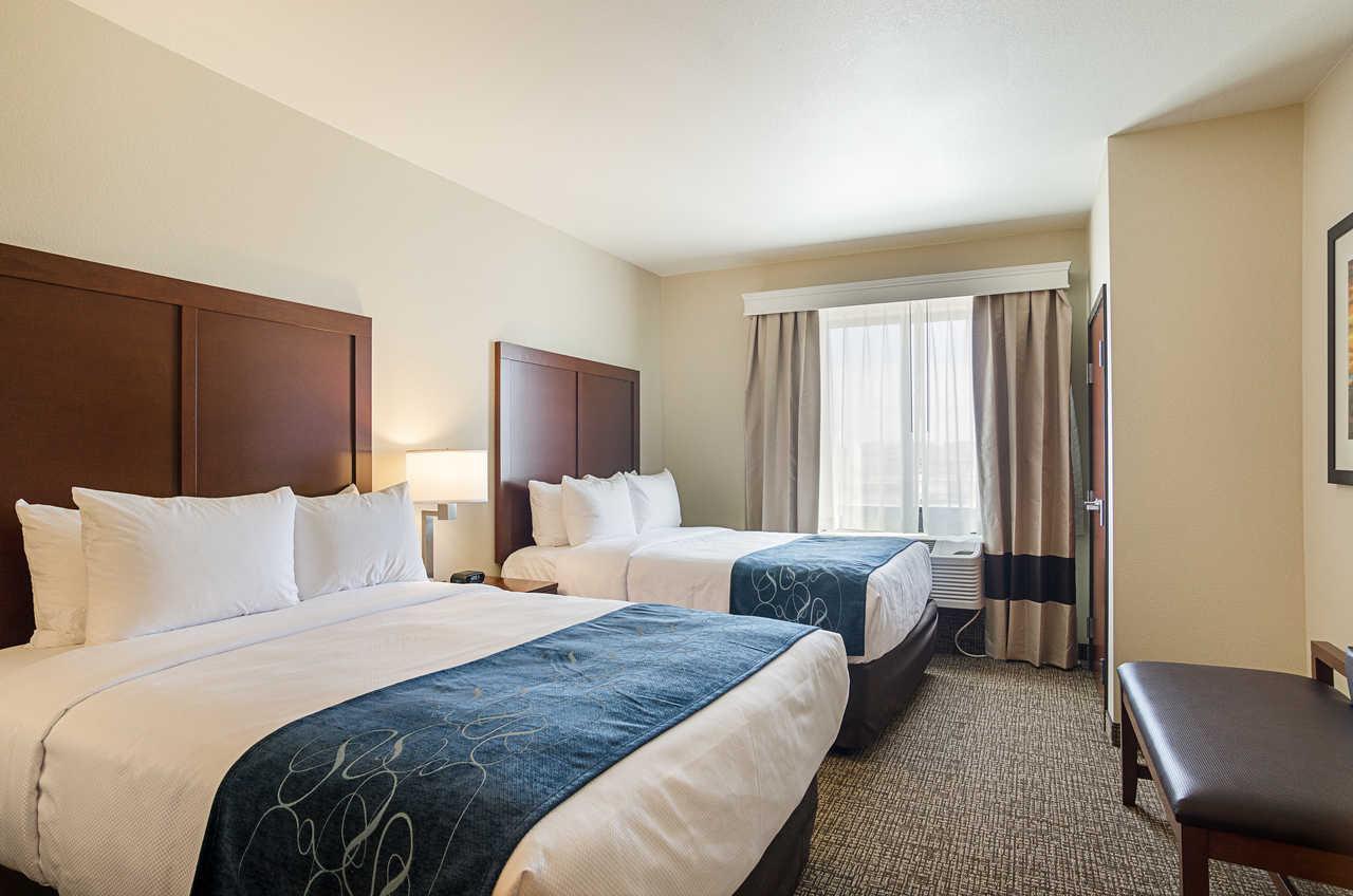 Hotel Comfort Near Downtown DEN