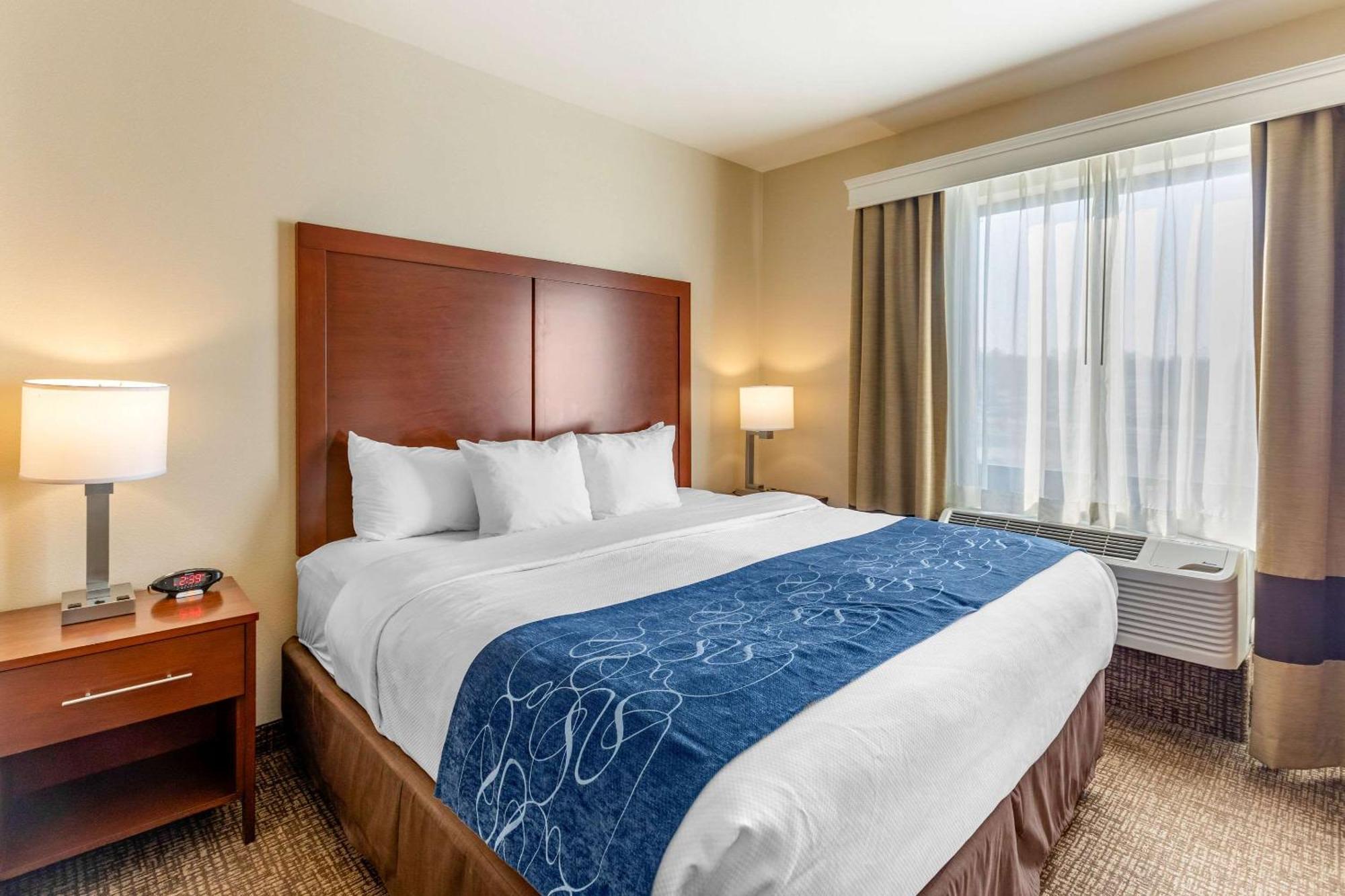 Comfort Near Downtown Hotel DEN