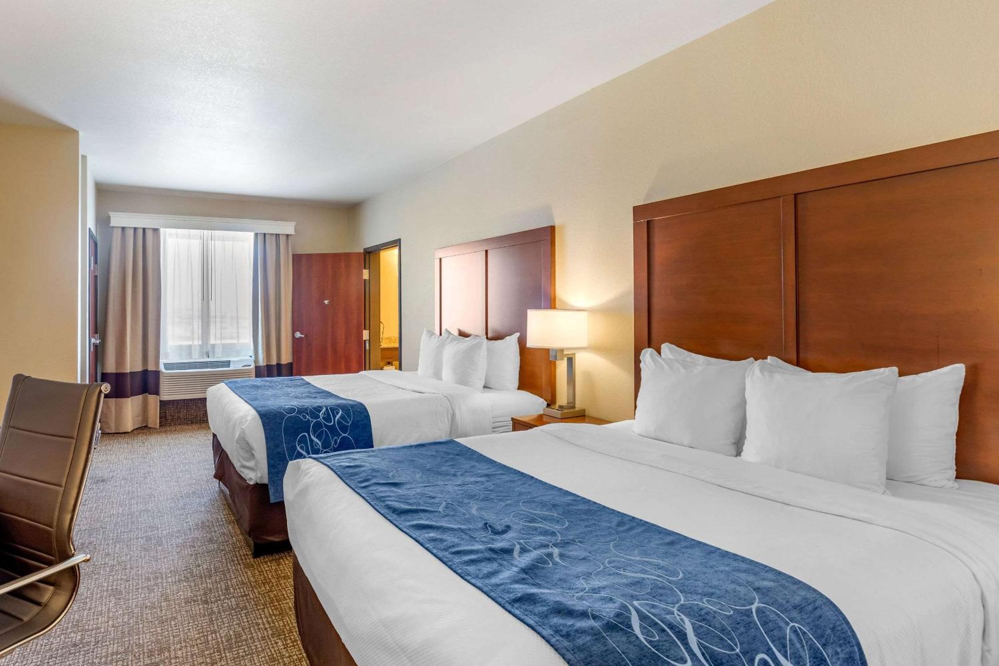 Comfort Near Downtown DEN